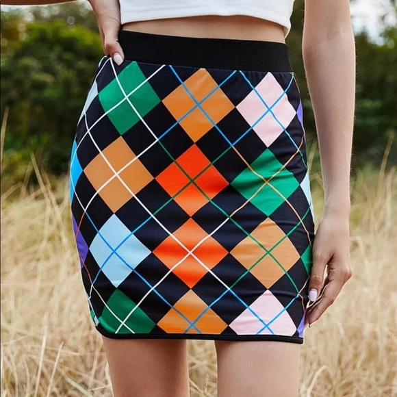 Private Label Dresses & Skirts - 🎀HOST PICK NWT SKIRT Argyle Pattern Pull On M 🎀